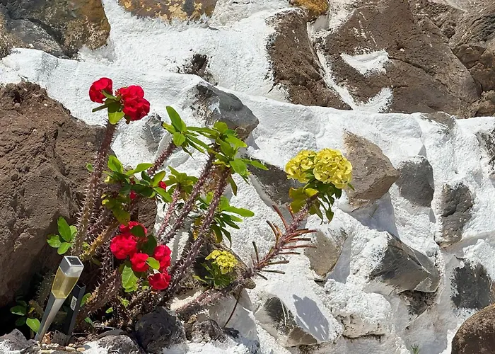 Apartment Abi&lei Vv