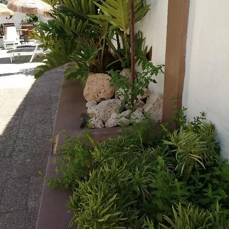 Appartement Abi&lei Vv Candelaria