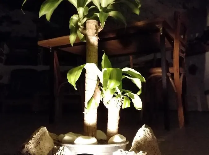 Apartament Abi&lei Vv